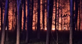 Ponad 100 hektarów lasu w ogniu. Trwa jedna z największych akcji gaśniczych na Mazowszu