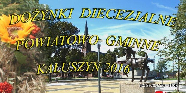 Dożynki z Alicją Majewską