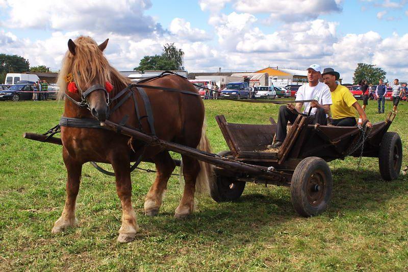 Subiektywny fotoreportaż z targów rolniczych i dożynek Siedlce 2009