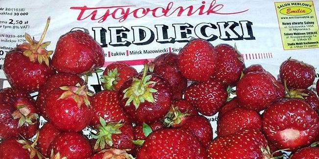 Zapowiedź wydania