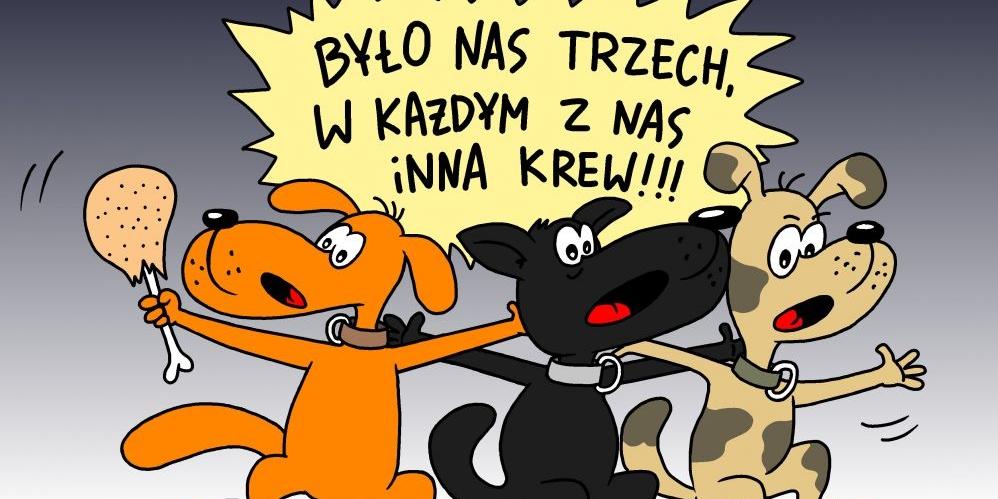 Rudy, czarny i łaciaty