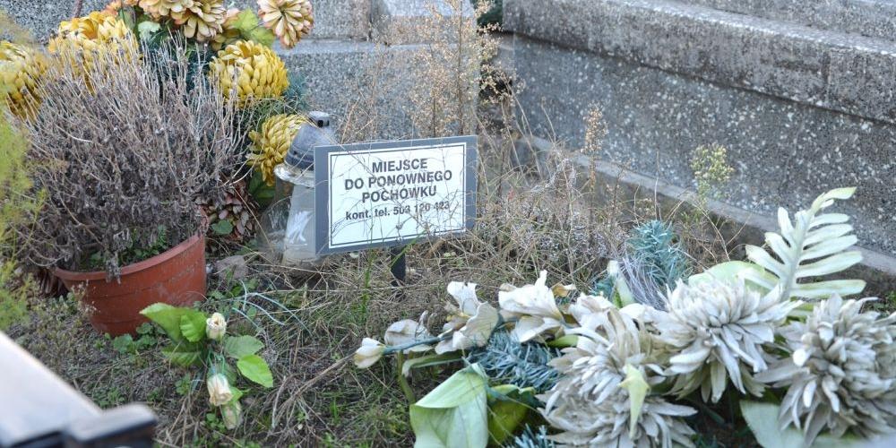 Czy ktoś się nimi opiekuje?
