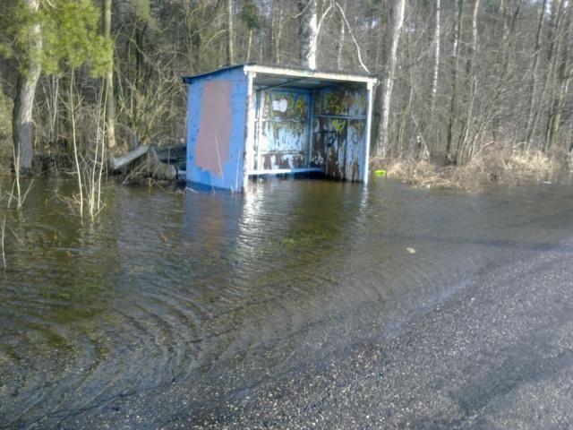 Ocean na drodze