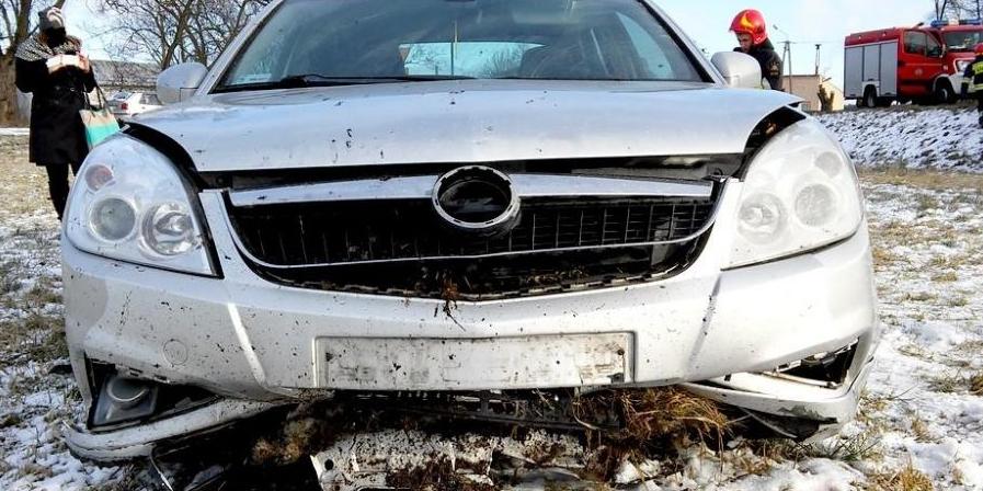 Vectra w rowie