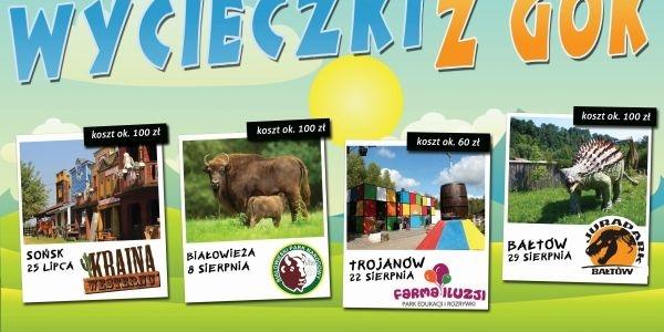 Jaka krainę wybierasz?