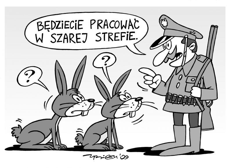 Szarak na wagę złota
