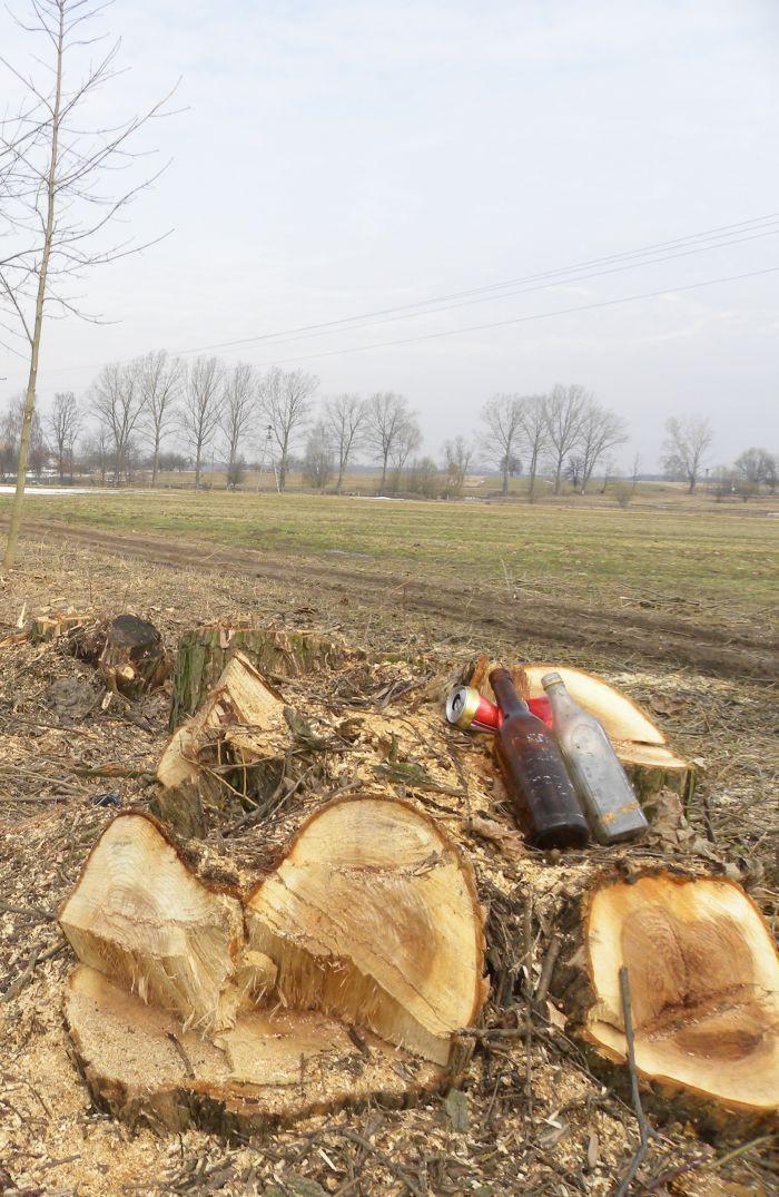 Święte prawo, kilka złotych 
