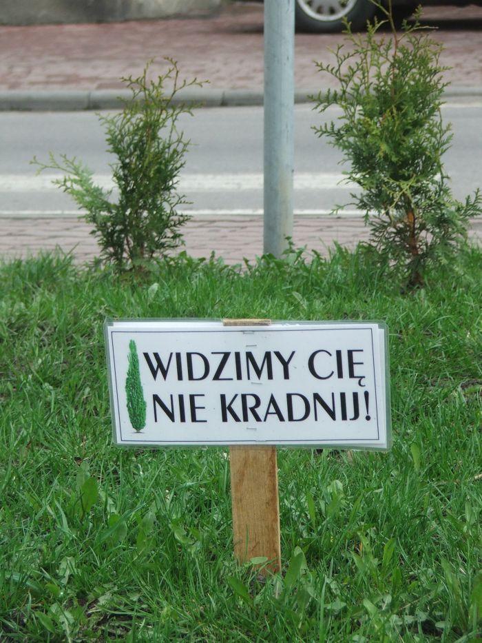 Widzimy cię, nie kradnij!
