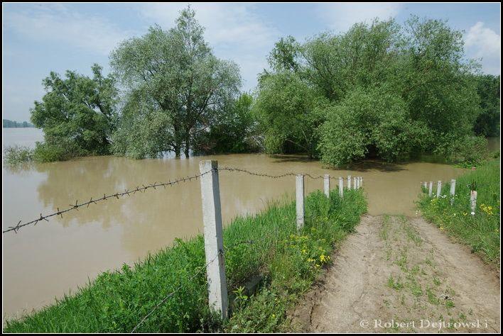 Powódź w obiektywie mistrza fotografii Doliny Środkowej Wisły (galeria)