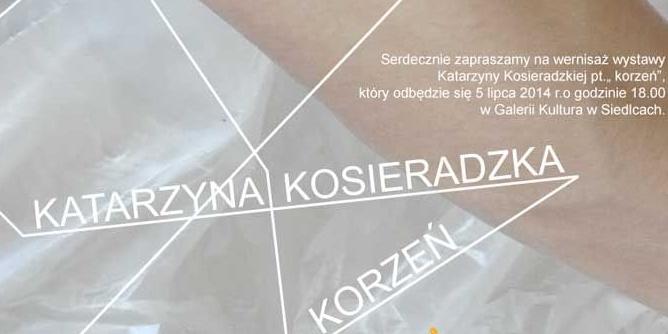 Korzeń w Galerii