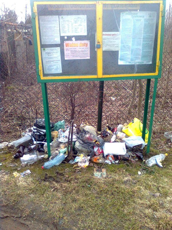 Złote Piaski czy Złote Śmieci?