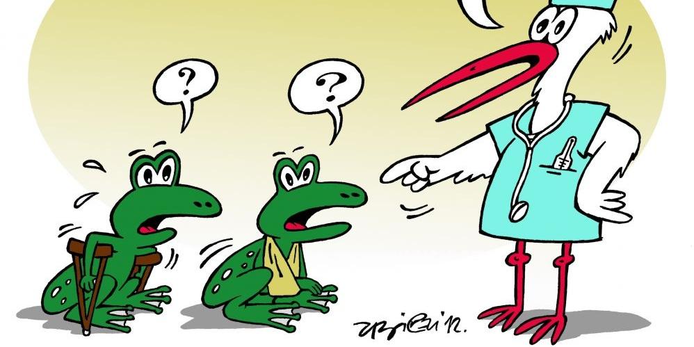 Zieloni poczekają