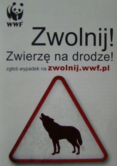 Zwolnij! Zwierzęta na drodze!