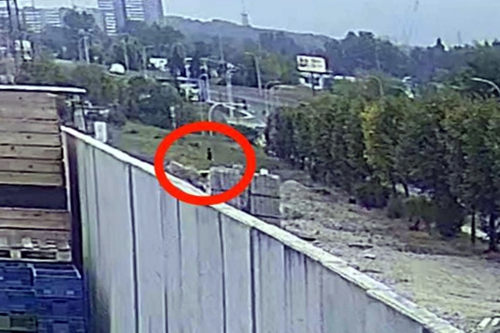 Nie żyje 32-latek z Bytomia. Ciało w lesie w Katowicach odnalazł pies