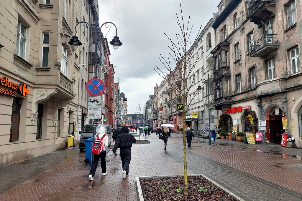 Kasztanowce na Stawowej w komplecie. Tym razem drzewa zostaną na stałe