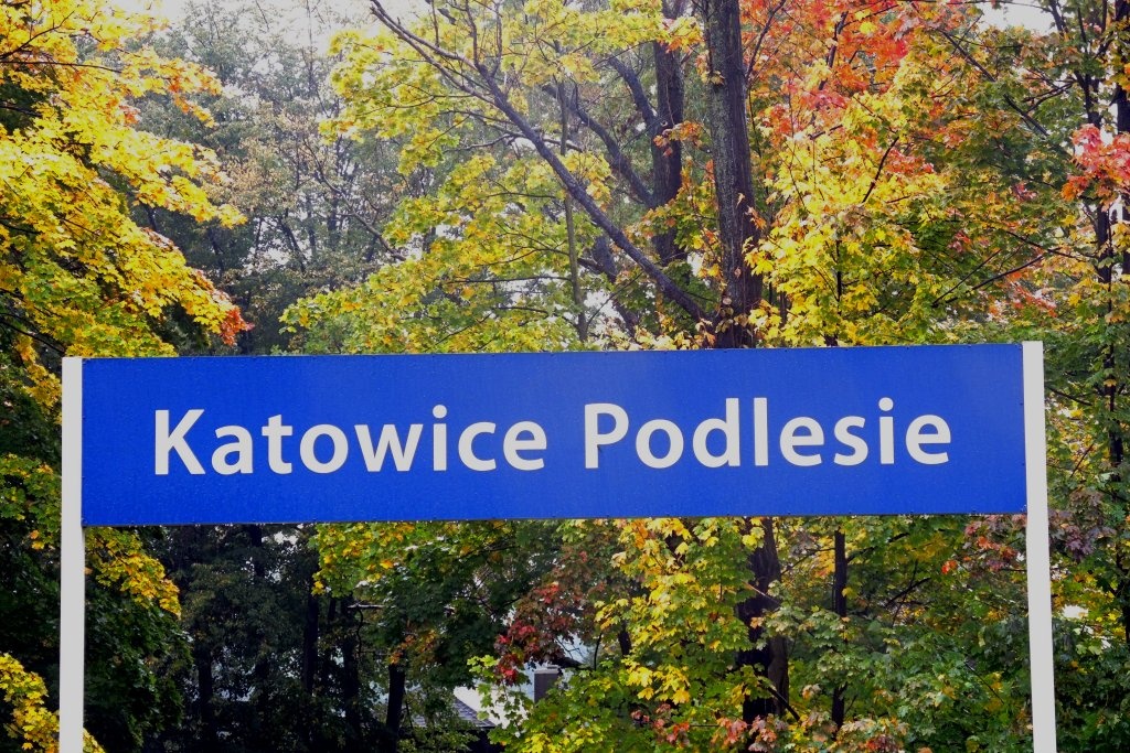 Kluczowe dla wyniku wyborów do Rady Miasta Katowice będą południowe dzielnice