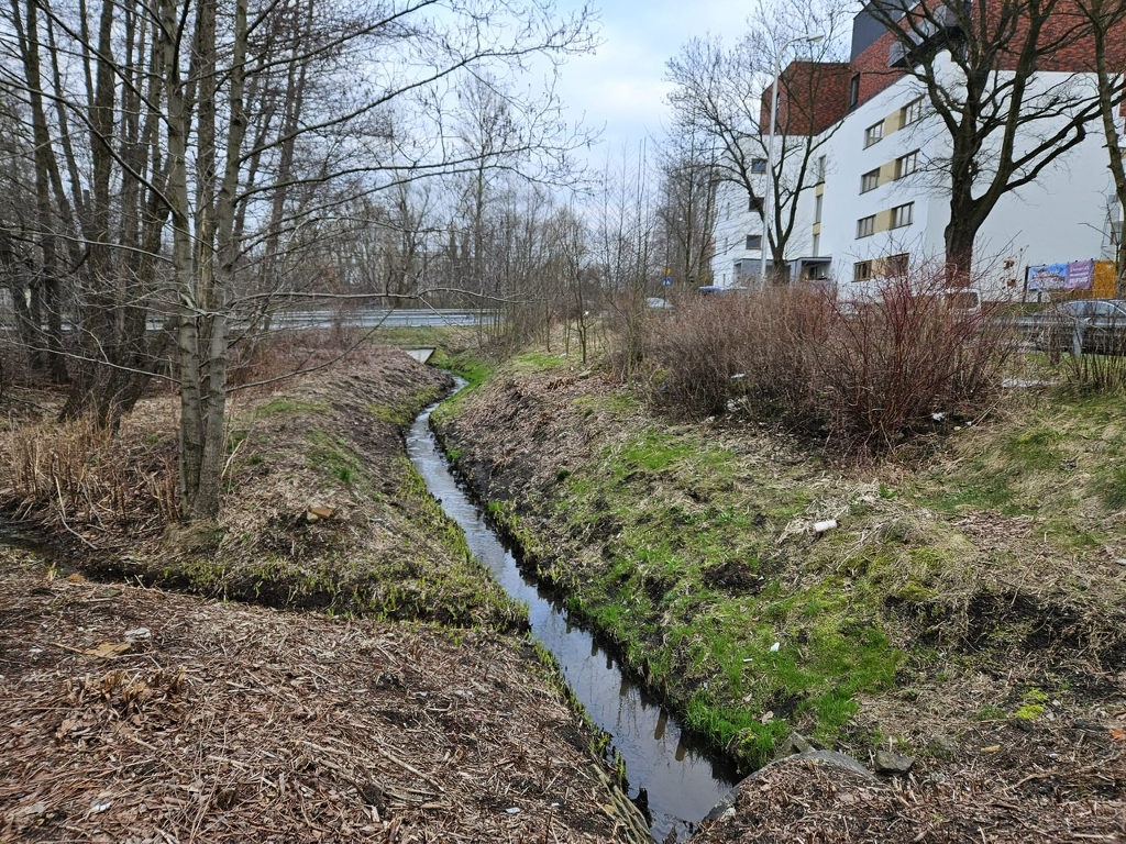 W sobotę sprzątanie doliny potoku Kokociniec. Jest specjalny komunikat dla kandydatów na radnych