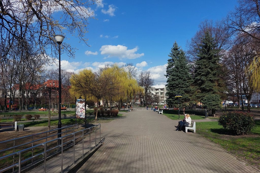 Dzień dobry Katowice. Powstaną nowe zielone przystanki
