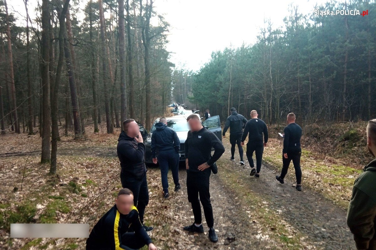 Kibole GKS Katowice szykowali się w lesie na ustawkę. Uniemożliwiła ją policja