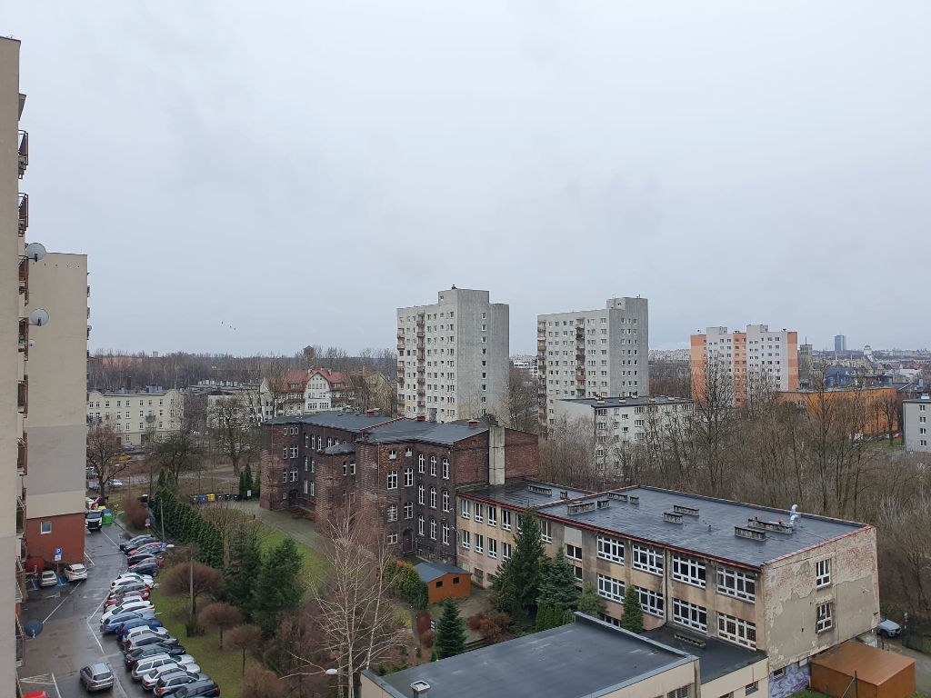 Katowicka Spółdzielnia Mieszkaniowa zabroniła mieszkańcom sadzić kwiatki