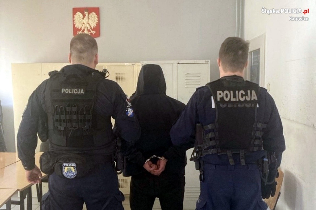 Zatrzymano mężczyznę podejrzewanego o wywołanie paraliżu na dworcu