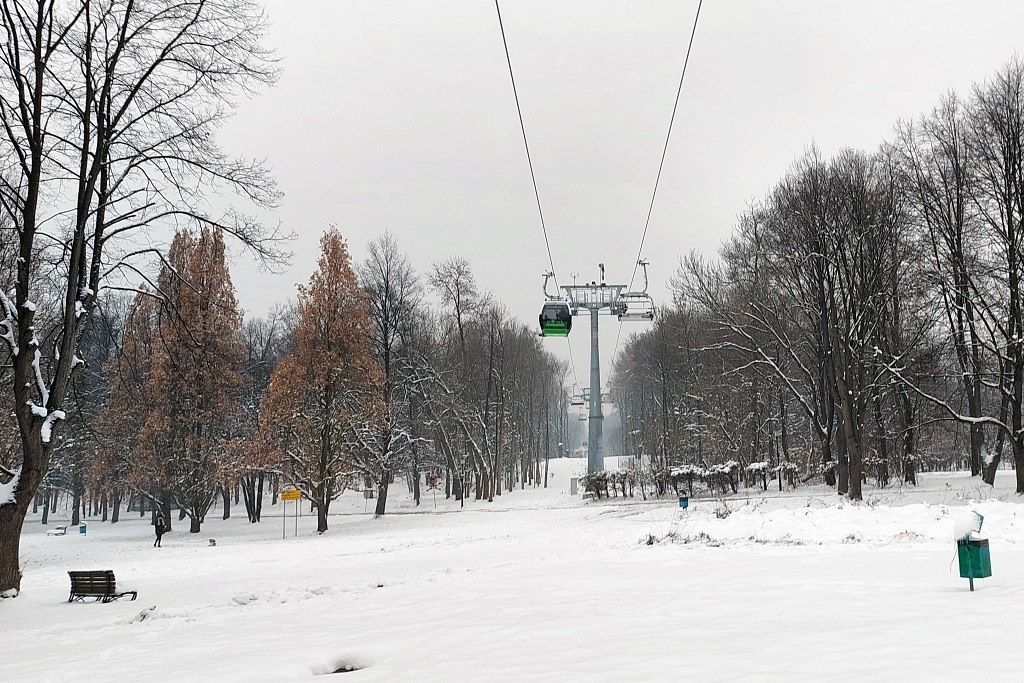 Dzień dobry Katowice. Szykuje się wycinka w Parku Śląskim