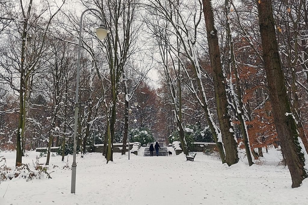 Weekend na mieście. Co ciekawego dzieje się w Katowicach i okolicy