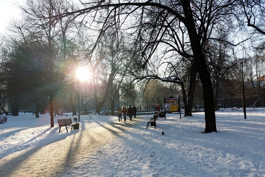 Dzień dobry Katowice. Miasto postawi kolejne zielone przystanki
