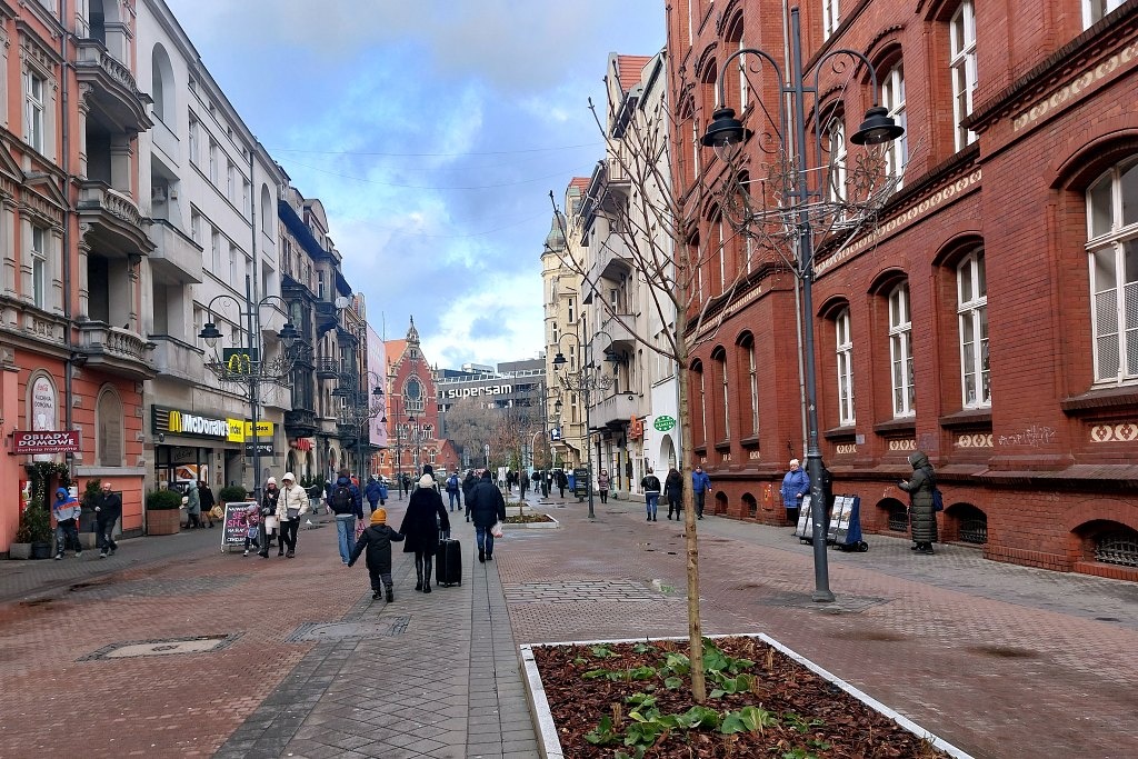 Trzeba będzie wykopać drzewa zasadzone na ul. Stawowej