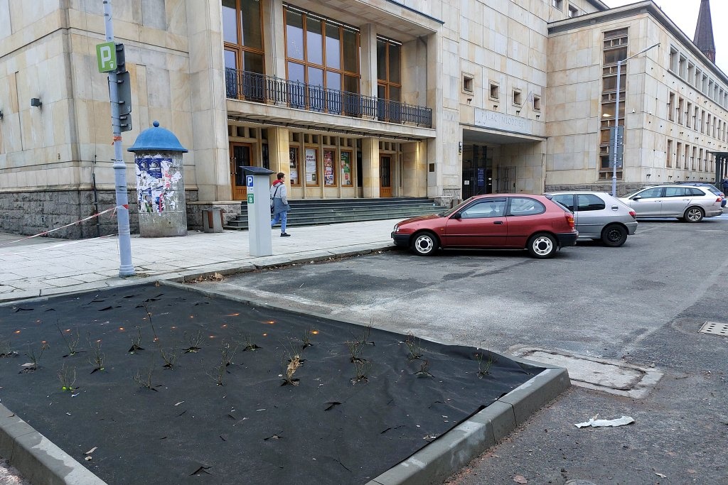 W centrum Katowic miały zostać posadzone drzewa, ale będą krzewy