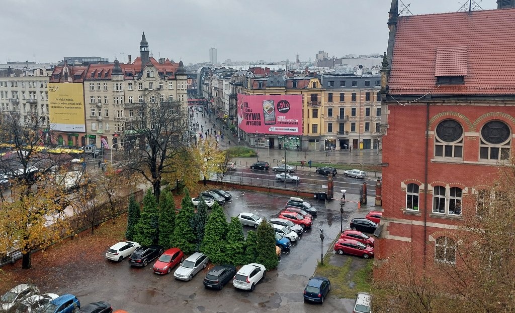 Dzień dobry Katowice. Dzisiaj sesja rady miasta i decyzja w sprawie drogi przez las