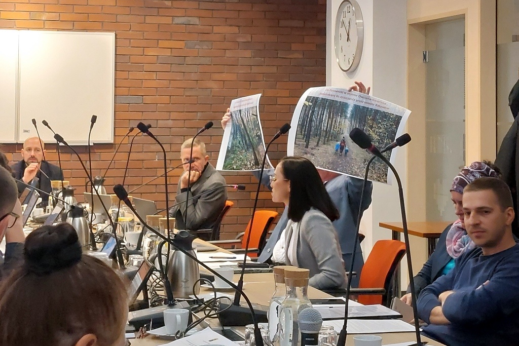 „Droga donikąd” w Panewnikach. Jest petycja przeciwko nowej Owsianej i podzieleniu lasu