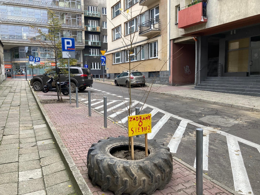 W centrum Katowic mieszkańcy posadzili drzewo w oponie od traktora