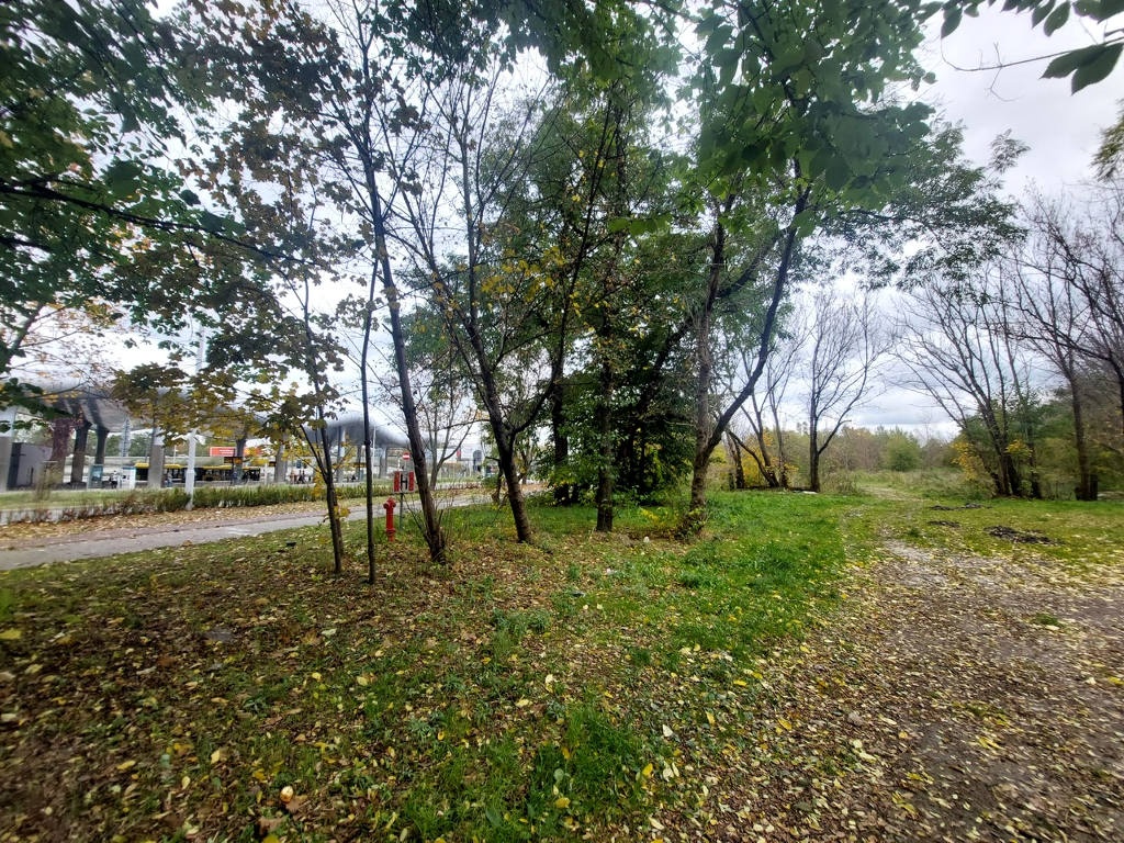 Spółka jednego z najbogatszych Polaków jest zainteresowana budową stacji tankowania wodoru w Katowicach