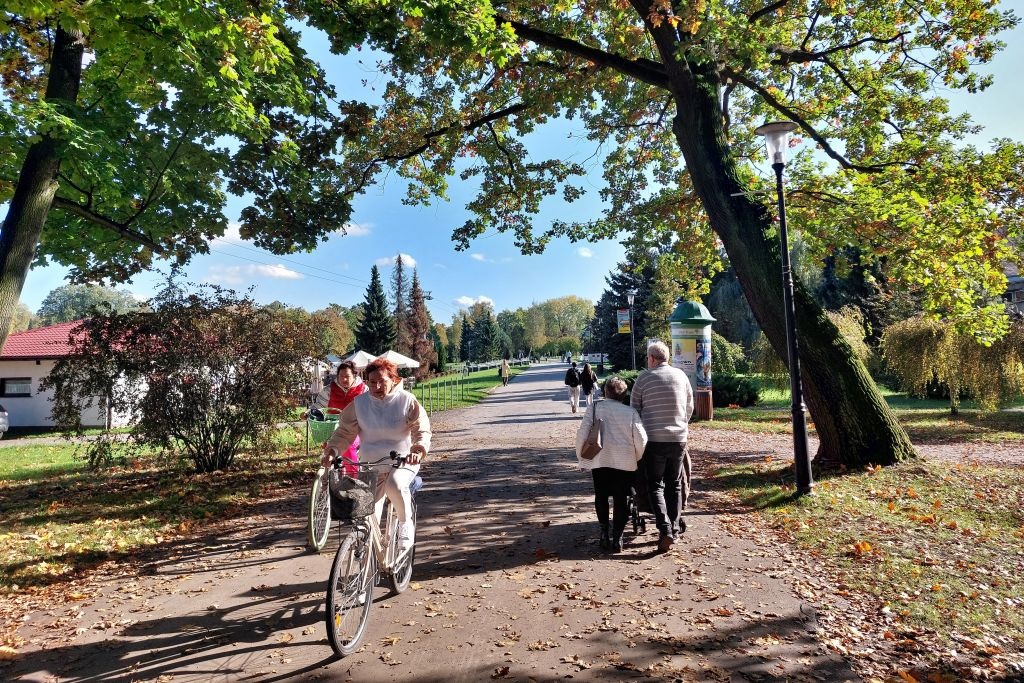 Bezpłatne meleksy do Fali i innych atrakcji. Park Śląski bliżej zakupu pojazdów