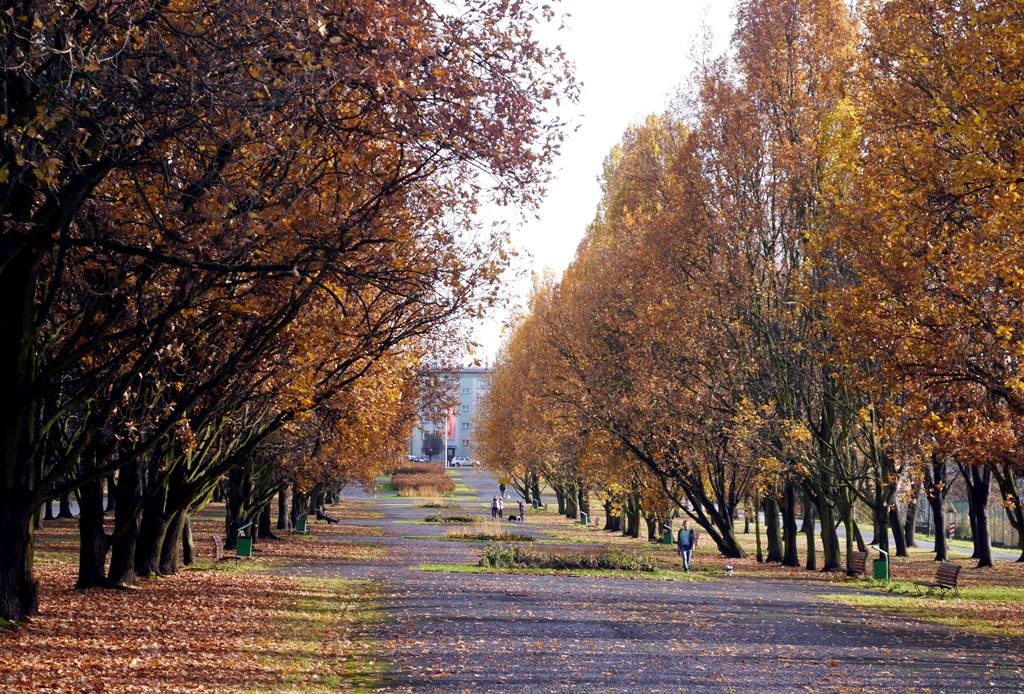 Dzień dobry Katowice. Park Śląski zamówi meleksy