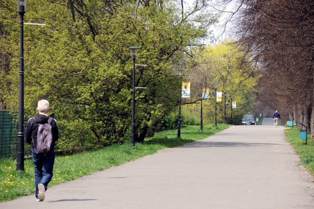 W Parku Śląskim gości będą woziły meleksy, bo do kąpieliska „Fala” swoimi samochodami nie dojadą