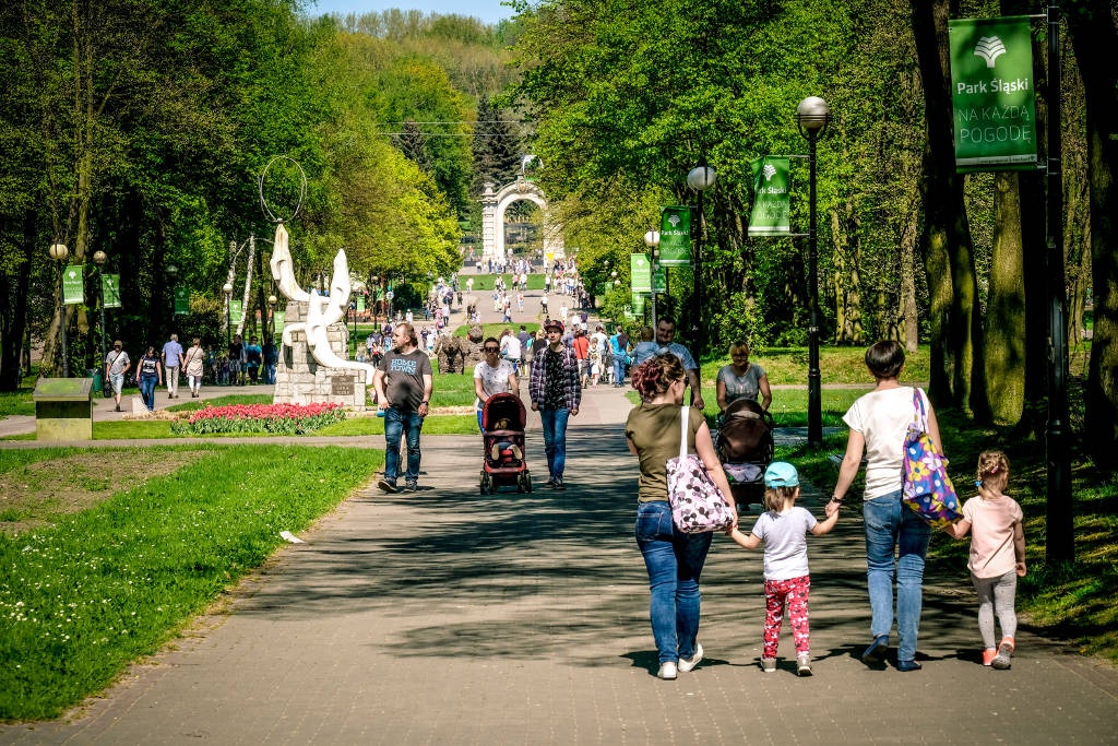 Dzień dobry Katowice. Park Śląski zamawia elektryczne pojazdy