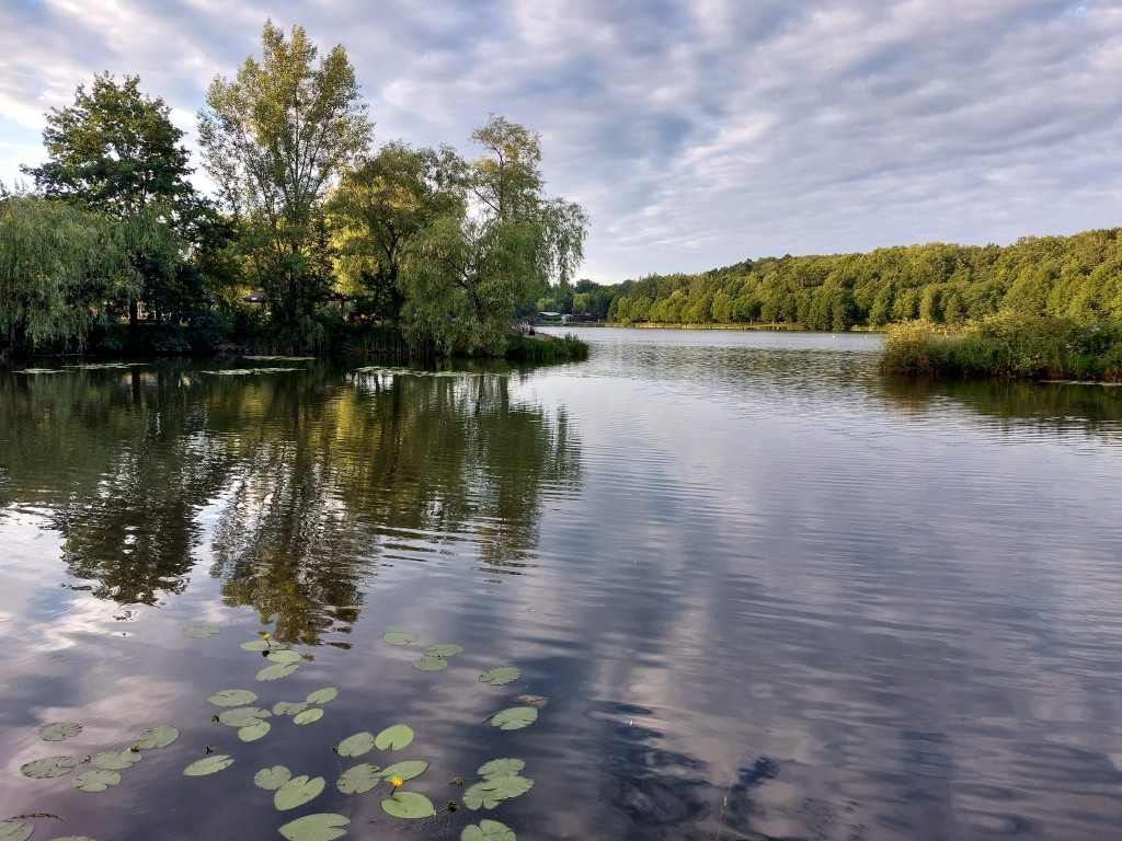 Weekend na mieście. Co ciekawego dzieje się w Katowicach i okolicy