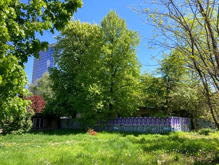 Dzień dobry Katowice. Miasto przejmie duży teren w centrum