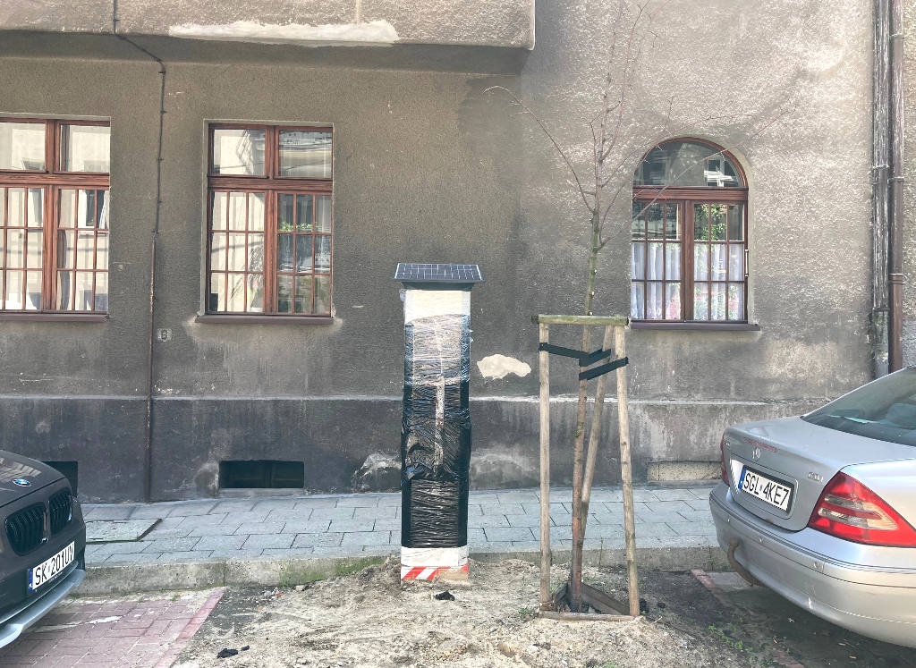 Parkomat został zamontowany niemal na drzewie. 
