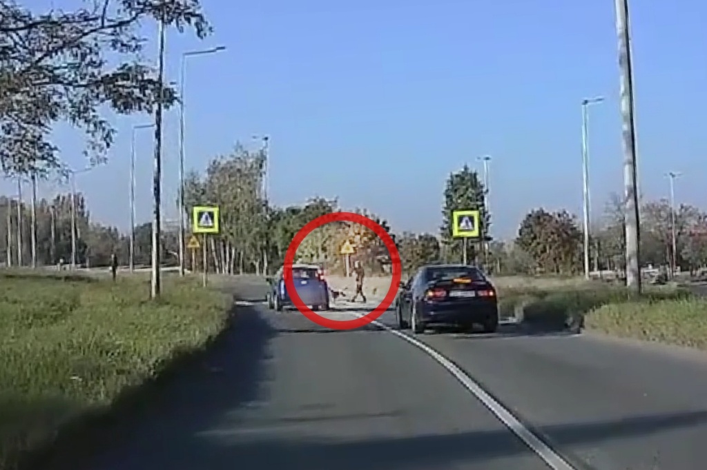 Prawie przejechał mężczyznę z psem na niebezpiecznym przejściu dla pieszych. W tym miejscu będzie zwężenie