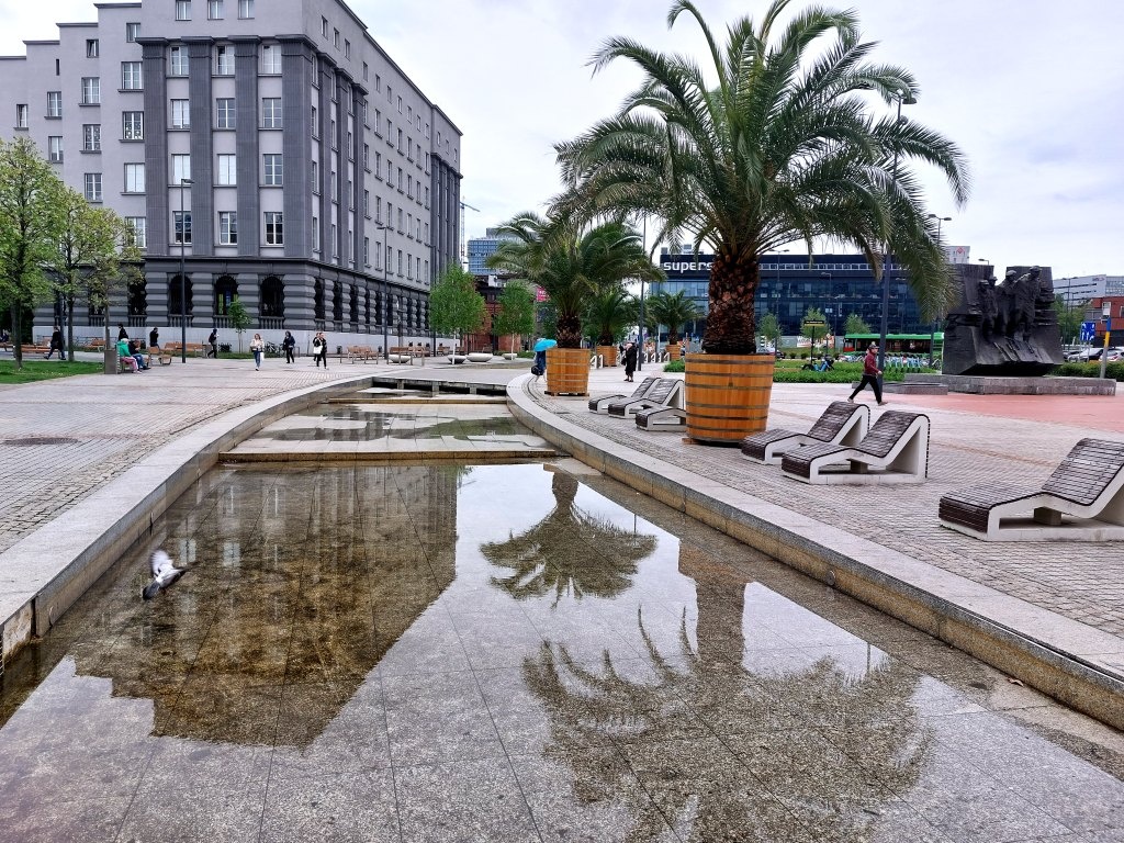 Palmy wróciły na Rynek. Zbliża się remont sztucznej Rawy