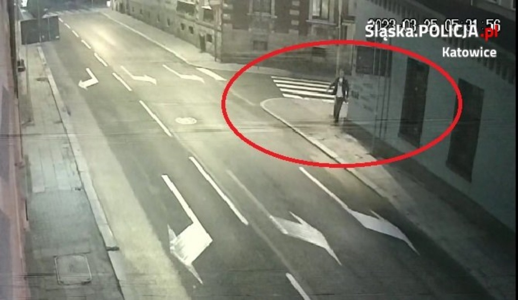 Policja szuka złodzieja drzewa. MPGK zutylizowało roślinę, a ZZM posadził na nowo