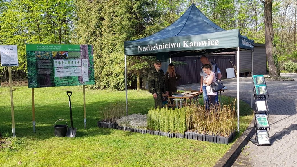 Mieszkańcy mogą posadzić drzewa. Akcja odbędzie się w trzech leśnictwach
