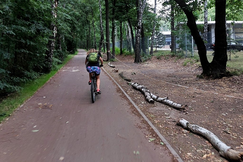 Katowice przystępują do rywalizacji o puchar Rowerowej Stolicy Polski