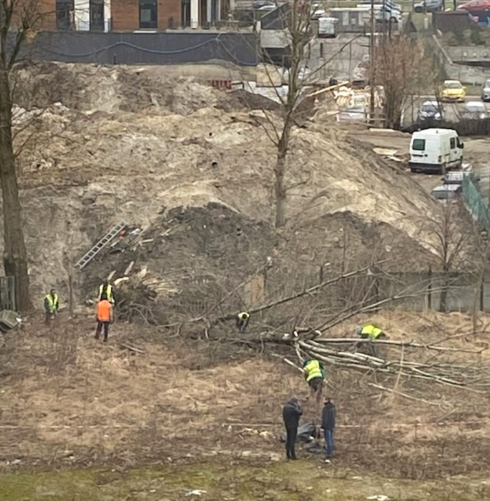 Wycinka drzew pod mieszkania na os. Paderewskiego