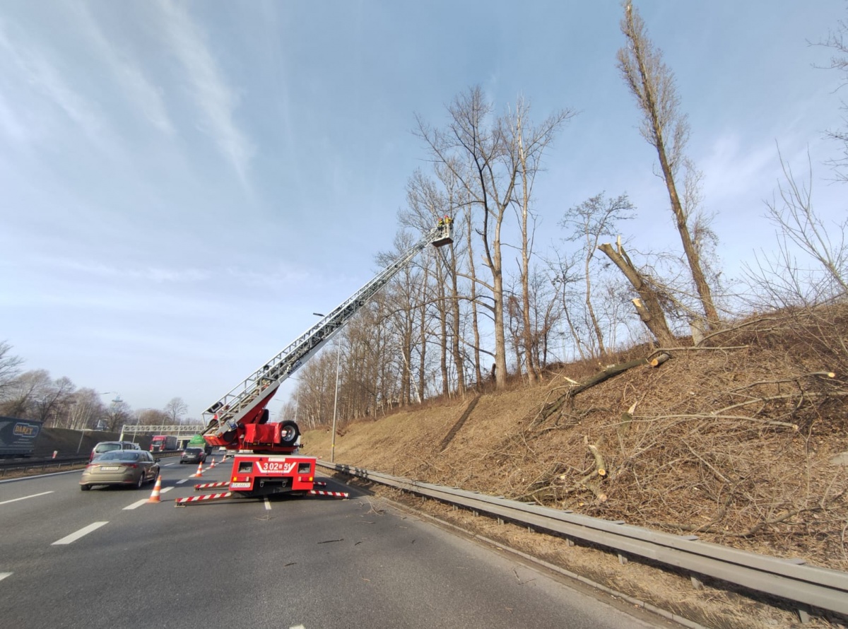 Strażacy wycięli drzewa przy autostradzie A4