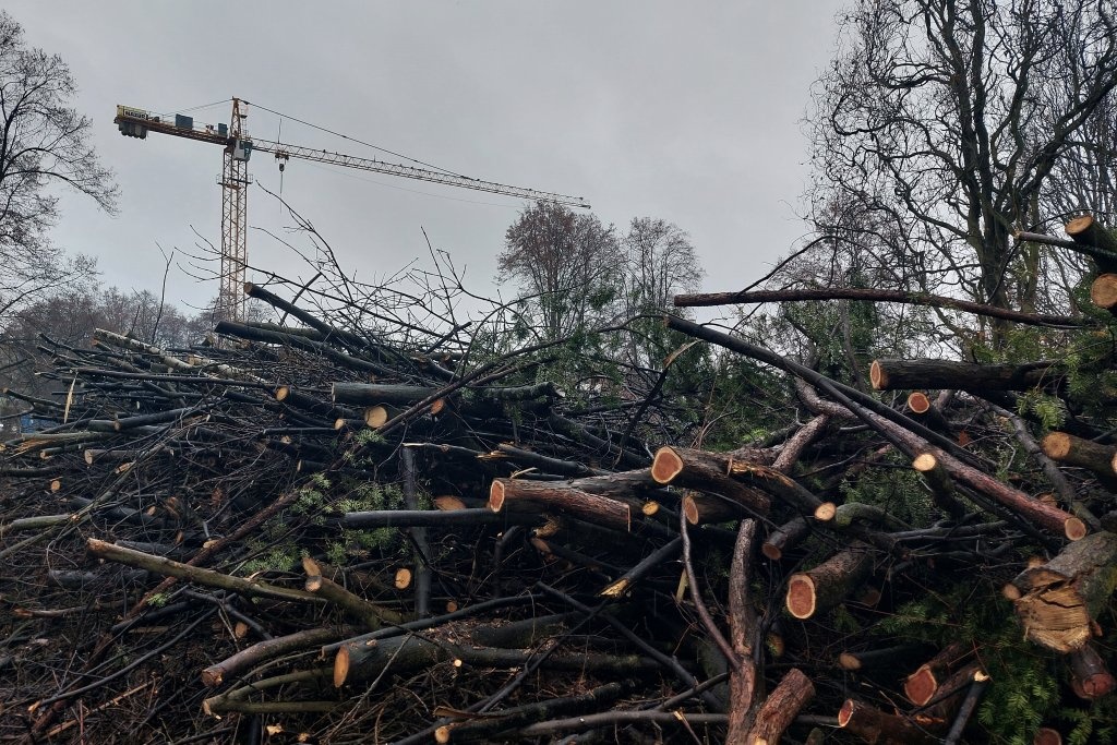 Dzień dobry Katowice. Trwa wycinka drzew w Parku Śląskim