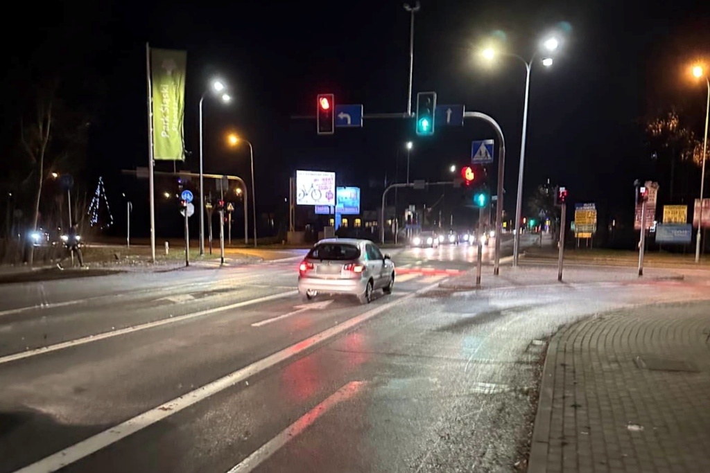 Rozpędzone auto przejechało psa na pasach. Policja skontaktowała się z właścicielem samochodu